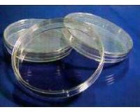 玻璃仪器-培养皿